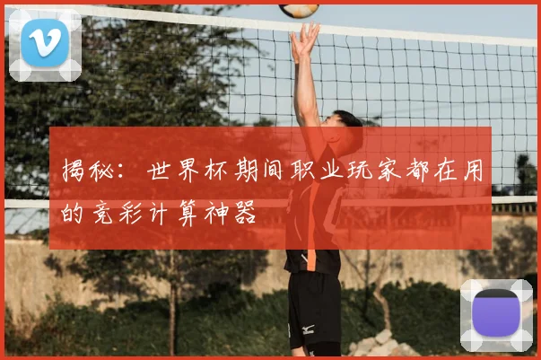 揭秘：世界杯期间职业玩家都在用的竞彩计算神器